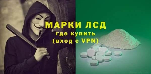 стафф Алзамай