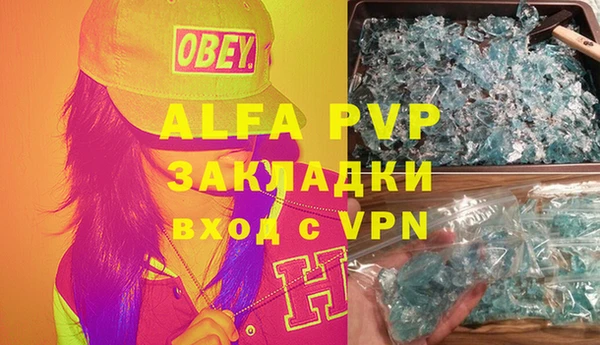 стафф Алзамай